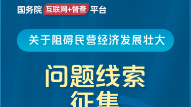 大鸡巴操中年女人国务院“互联网+督查”平台公开征集阻碍民营经济发展壮大问题线索